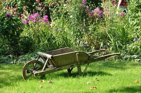 Vidage complet du jardin d’une maison